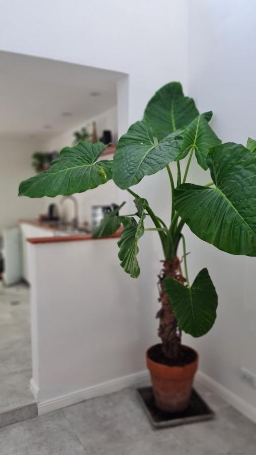 Casa A Estrenar Equipada 4 Personas Holiday home