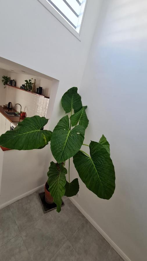 Casa A Estrenar Equipada 4 Personas Mar del Plata
