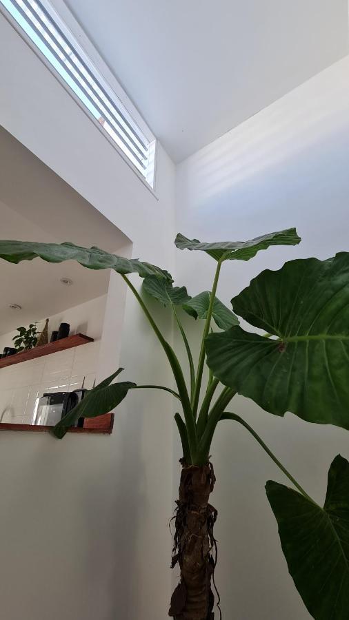 Holiday home Casa A Estrenar Equipada 4 Personas Mar del Plata